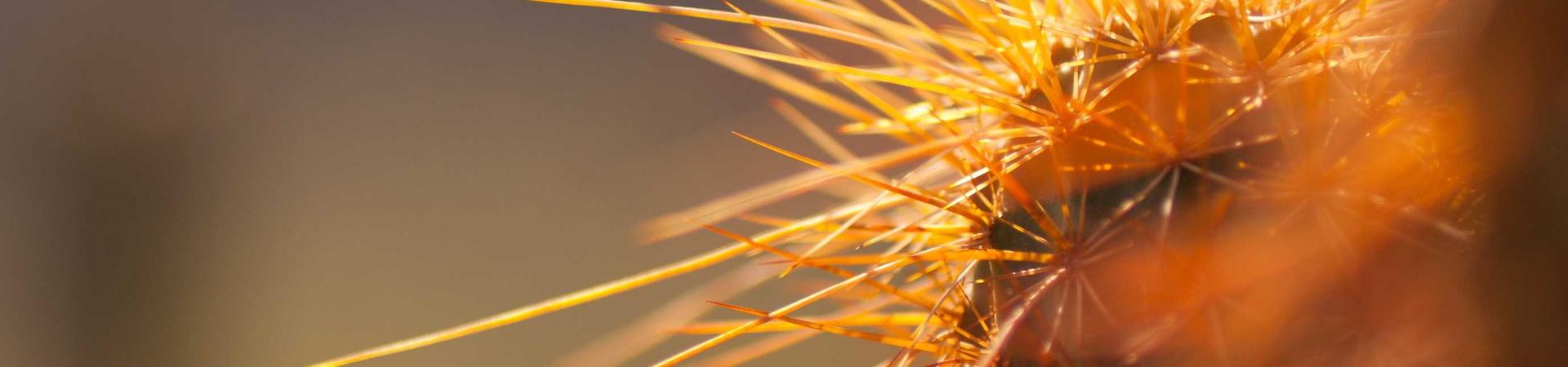 河南富喜工程机械租赁有限公司 &middot; 平谷分公司